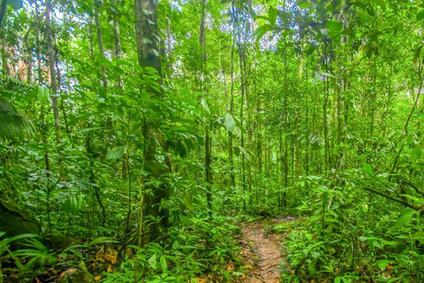 Desde Iquitos : Excursión de 6 días a la Selva Amazónica