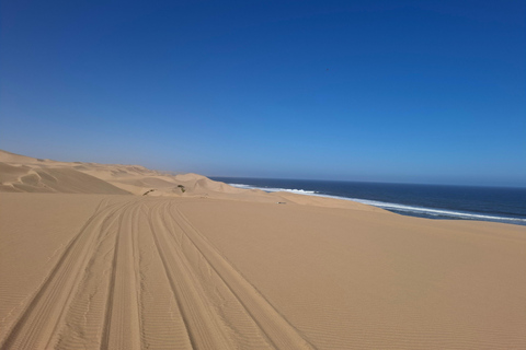 Swakopmund: Namib Desert Sunrise, Seals & Sandwich Harbour