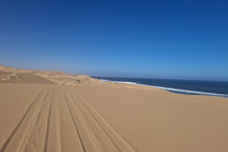 Swakopmund: Namib Desert Sunrise, Seals & Sandwich Harbour