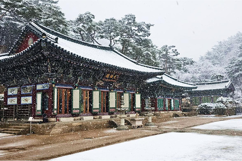 Gamaksan & IceWall Cafe & Eunpyeong HanokVillage & Jingwansa Depart from Hongik Univ. Station Exit 3