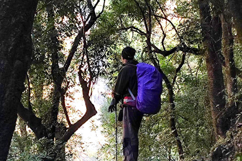 Katmandu: Jednodniowa wycieczka Green Hike Jama Chwok i sadzenie drzew