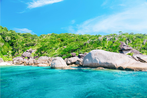 Phuket/Khaolak: Viagem de catamarã de alta velocidade às Ilhas Similan