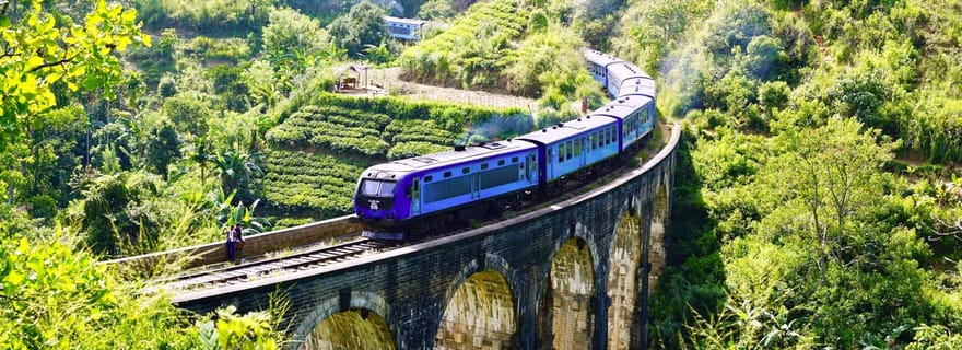 Hikkaduwa/Galle/Weligama/Mirissa : Excursion d'une journée à Ella Highlands