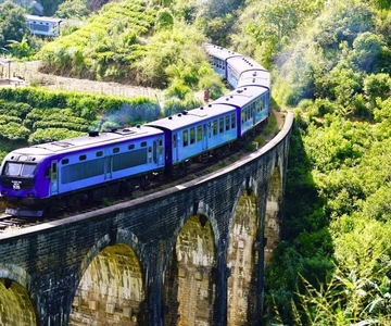Hikkaduwa/Galle/Weligama/Mirissa: Day Trip to Ella Highlands