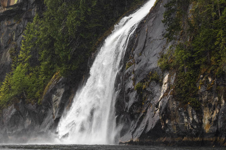 Campbell River: Spring Bear Watching & Waterfalls Boat Tour