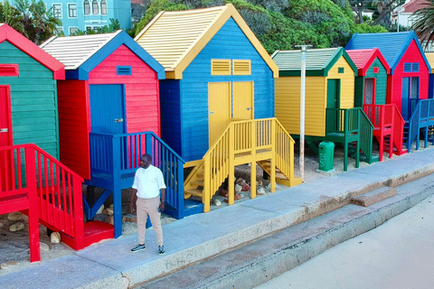 Kaapstad: Kaap de Goede Hoop &amp; Pinguïns Dagvullende tour met gids