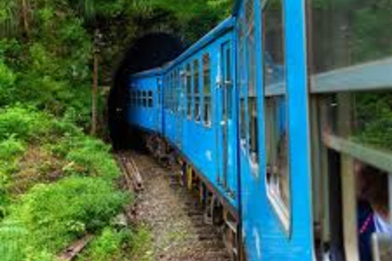 Ella Scenic Train Journey: Reserverade e-biljetter från NanuoyaNanuoya: Ella Scenic Train e-biljett i 1:a/2:a klass