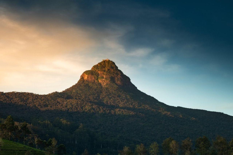 Da Kalutara: Escursione all&#039;alba dell&#039;Adams Peak con trasferimento in hotel