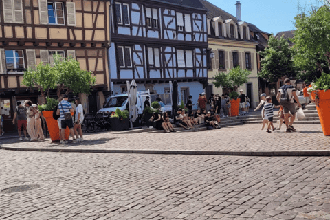 From Zurich Full-day private tour Basel and Colmar