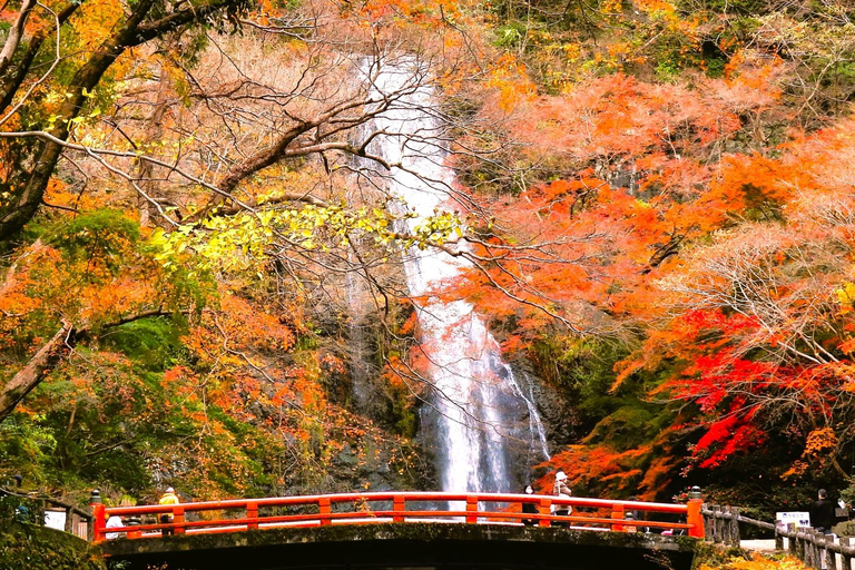 Osaka: Guidad tur till Cup Noodles Museum och Minoh Park