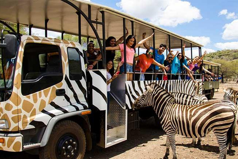 Mauritius: Casela Nature Parks & Flic en Flac Beach Casela Nature Parks & Flic en Flac Beach(Without sunset)-CAR