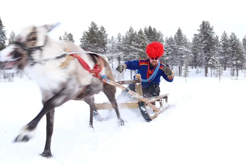 Kiruna - Renskötare Renskötartur med samisk middag och transfer
