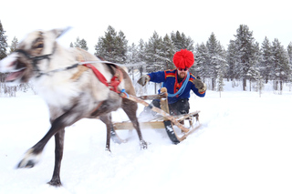 Esperienze gastronomiche a Kiruna