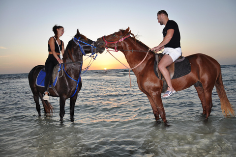 DJERBA : Randonnée à cheval privée (2h).