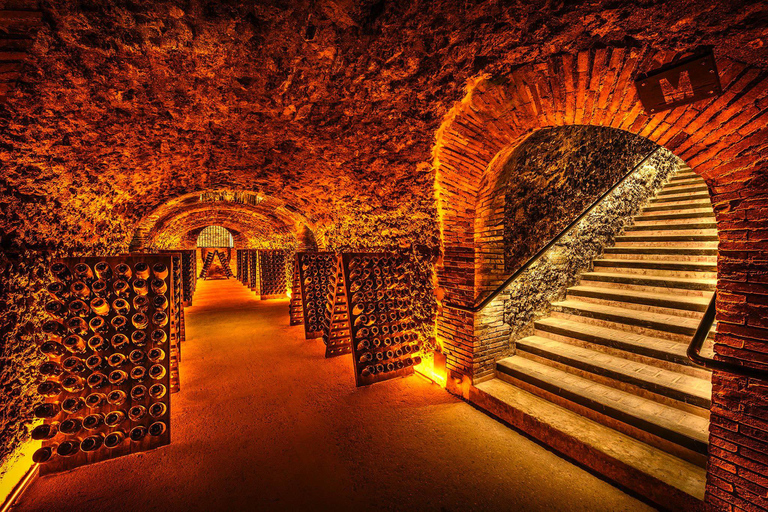 Paris: Discover the cellars in the countryside in Champagne