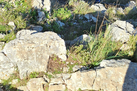 Quad Tour: Tirana - Bovilla Lake Quad Tour - Bovilla Lake