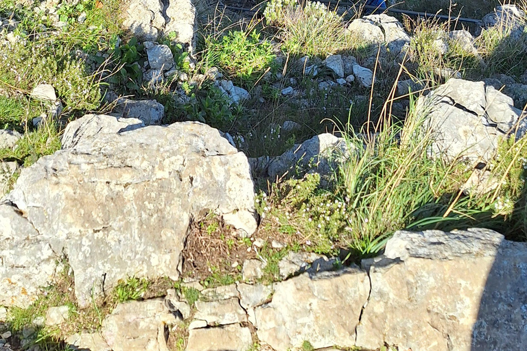 Quad Tour: Tirana - Bovilla Lake Quad Tour - Bovilla Lake