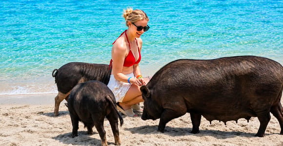 Koh Samui: Elephant, Pig Island & Snorkeling by Longtail Boat