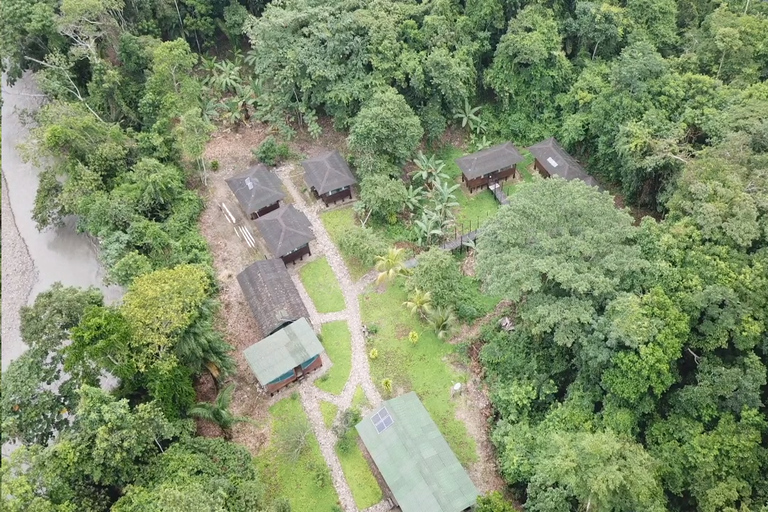 Manu Safaris PeruManu safari Peru