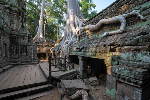 Visite guidée d&#039;Angkor Vat et du lever du soleil depuis Siem Reap