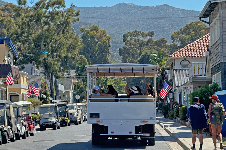 Excursión por la ciudad de la Isla Catalina y el monte Ada