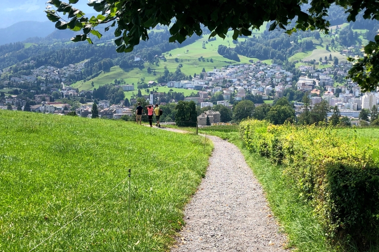 Luzern-wandeling van een halve dag door het meer van LuzernStandaard optie