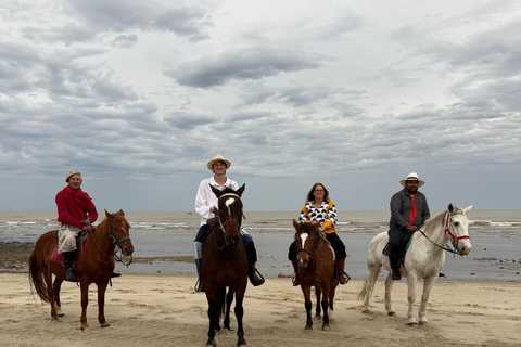 Montevideo: Horseback riding on a trail to the Beach