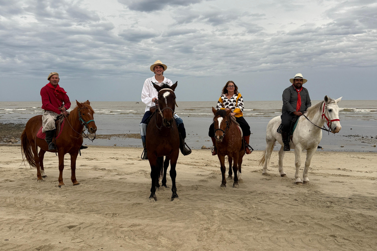 Montevideo: Horseback riding on a trail to the Beach