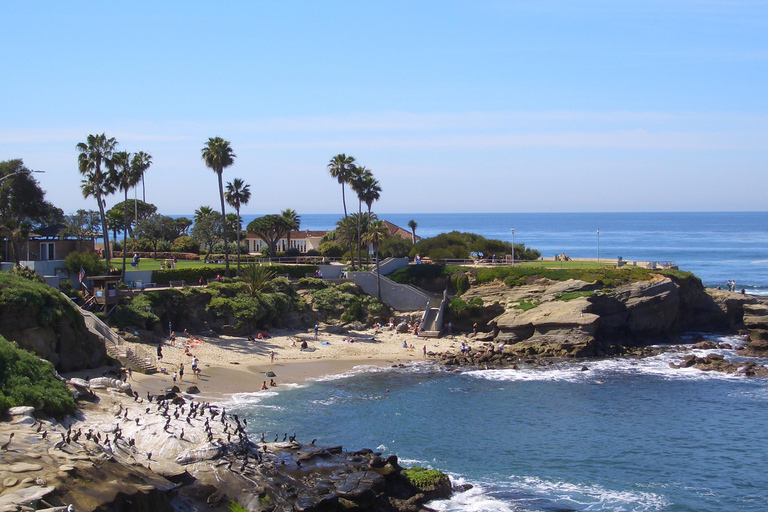 San Diego: Spiagge e scogliere: tour guidato autogestito