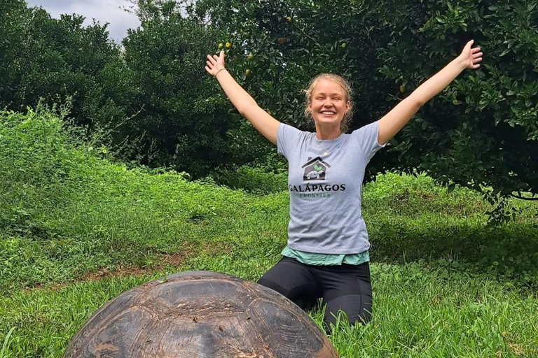 Galapagos: Giant Tortoises & Lava Tunnels tour with a Dome Stay Giant Tortoises & Lava Tunnels Experience with a Dome Stay