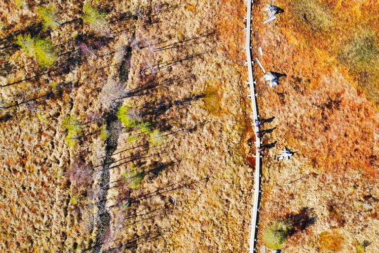 Helsinki: Full-Day Hike in Torronsuo’s Wild Bog
