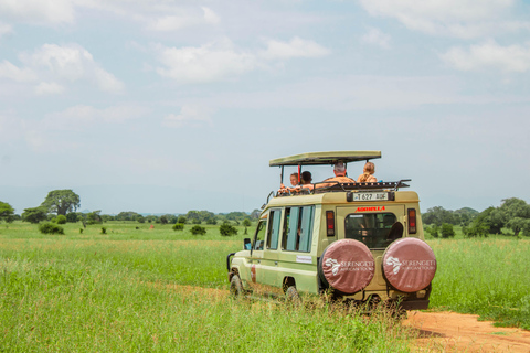 From Arusha: 4-Day Serengeti and Ngorongoro Safari