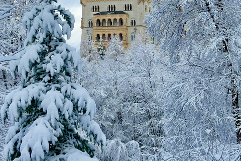 Neuschwanstein Tour from Munich Luxury Van 6 People with Private Driver Neuschwanstein Tour from Munich Luxury Van 6 people with private driver