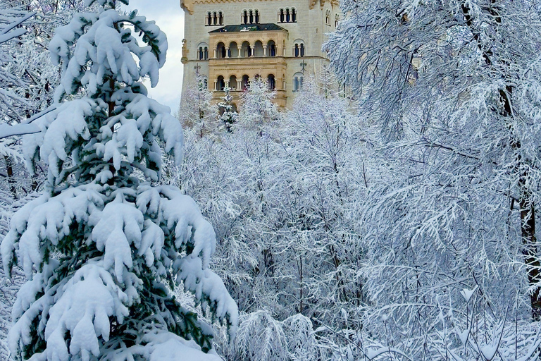 Neuschwanstein Tour from Munich Luxury Van 6 People with Private Driver Neuschwanstein Tour from Munich Luxury Van 6 people with private driver