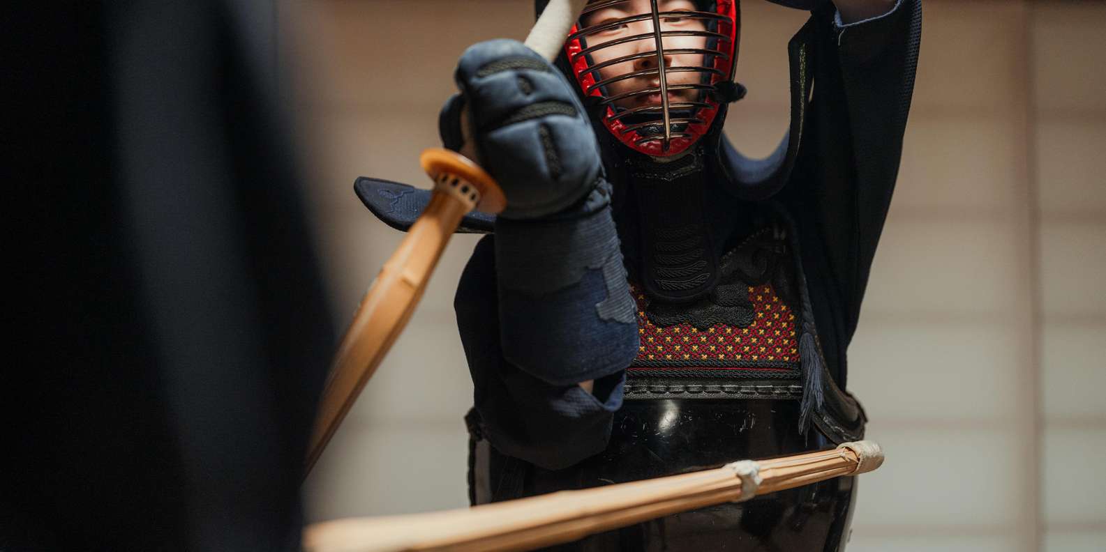 Kyoto experience — temples, geisha, bamboo grove — image 25