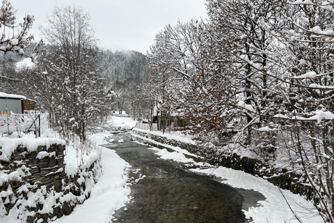 Tatra Mountains: Zakopane Private Ski Tour with Instructor Krakow: Instructor lead Ski Tour - Tatra Mountains