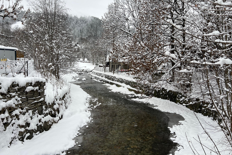 Tatra Mountains: Zakopane Private Ski Tour with Instructor Krakow: Instructor lead Ski Tour - Tatra Mountains