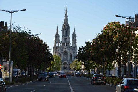 Royal and Monumental Brussels: 3-Hour Private Sightseeing Tour