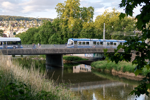 Zürich: A Walk Through Zurich's Secret Green City Group Tour