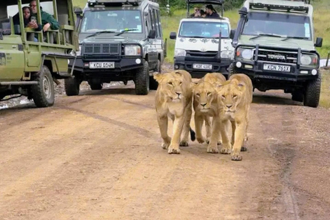 Airport: Nairobi National Park layover tour- pickup/drop-off