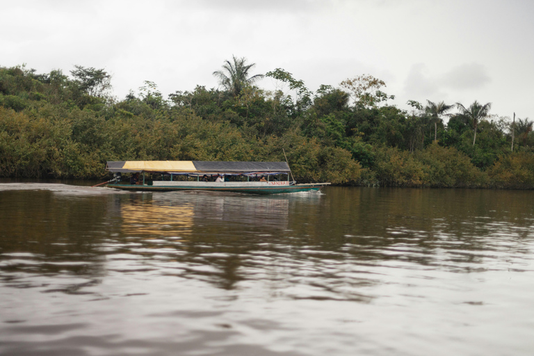 Iquitos: 4-Day Amazon Jungle Tour with Hotel Pickup