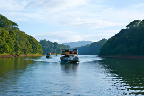 Från Cochin: 7 dagar Munnar, Thekkady, Alleppey och KovalamRundresa med 3-stjärnigt hotell