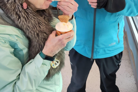 Reykjavik: Die isländische Naschkatzen-Tour