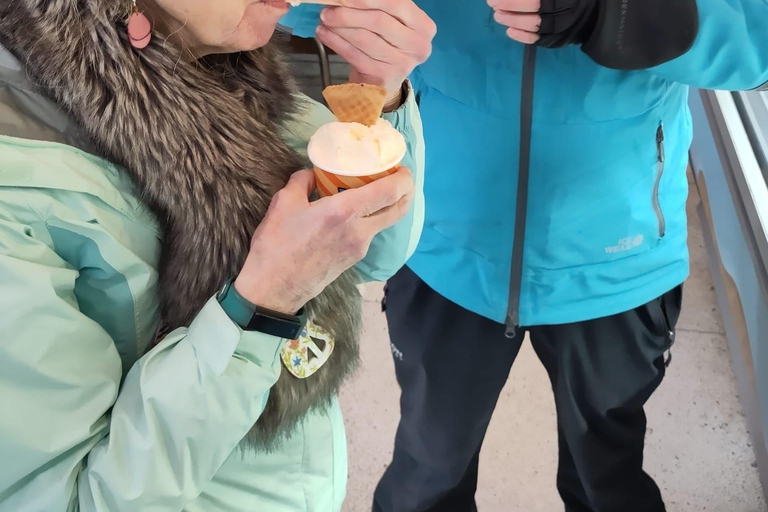 Reykjavik: Die isländische Naschkatzen-Tour