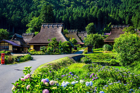 Kyoto Full-Day Tour:Miyama Village, Amanohashidate &amp;Ine Bay