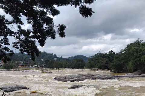 Kandy: Tuk-Tuk Sights, Culture, Shopping & Treatment