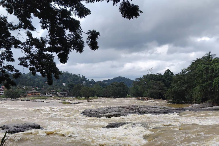 Kandy: Tuk-Tuk Sights, Culture, Shopping & Treatment