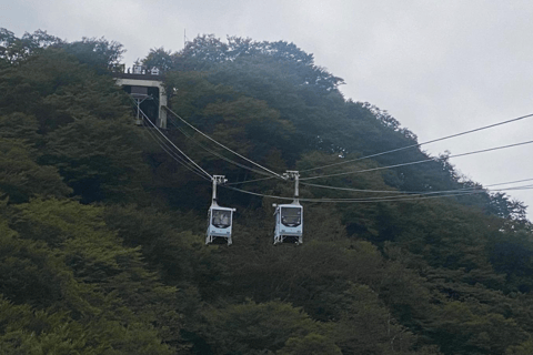 Tokyo: Tour privato di un giorno di Nikko, Patrimonio dell&#039;Umanità dell&#039;Unesco, e prelievo di campioni