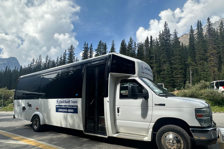 Vanuit Banff/Canmore: Pendeldienst naar Moraine Lake en Lake LouisePendeldienst van Canmore