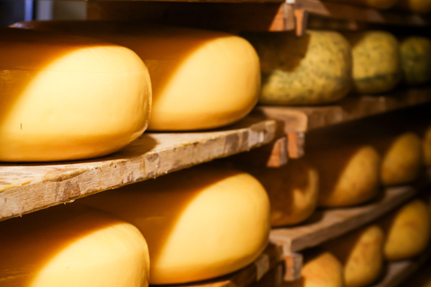 Martina Franca: Masseria Tour with Pasta & Mozzarella Class